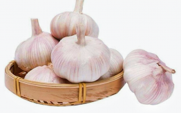 GARLIC