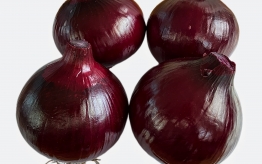 ONION